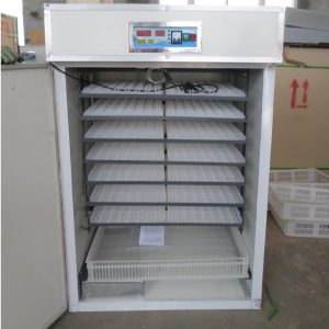 528eggs incubators