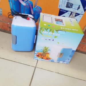 4l Car Fridge