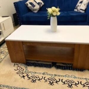 Julz Modern Coffee Table